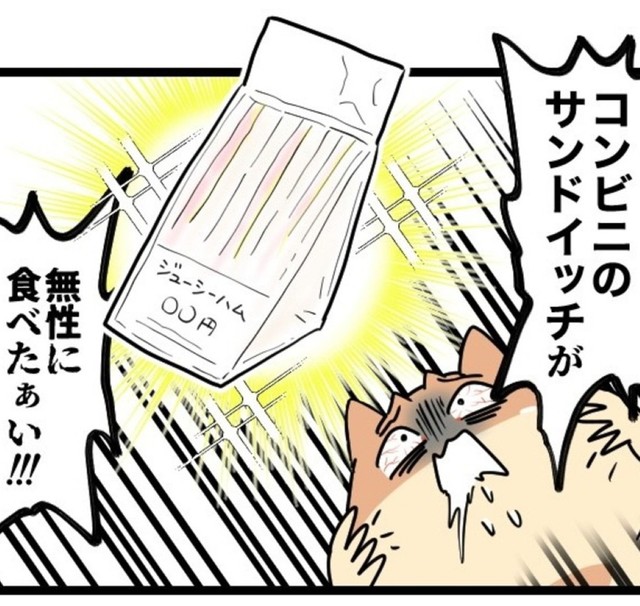 コンビニのサンドイッチがいいの！（パチ美さん提供）