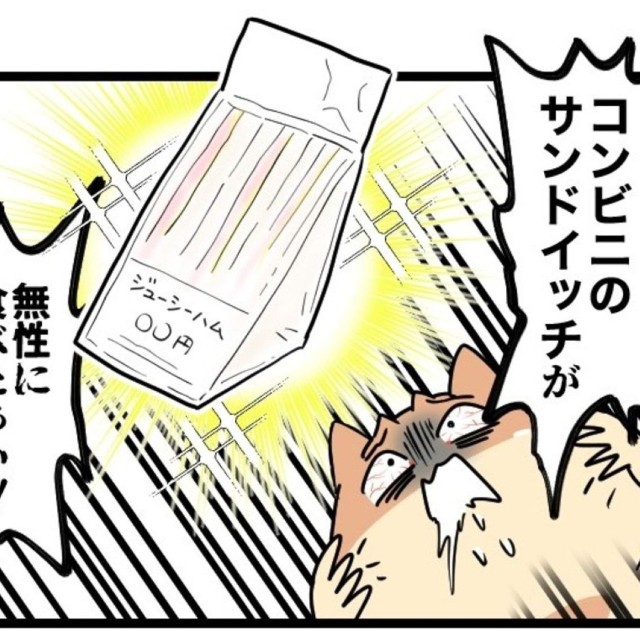 コンビニのサンドイッチがいいの！（パチ美さん提供）