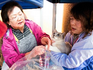 「青森の犬や猫を救え」１７年で譲渡累計３千件超