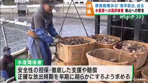 福島第一原発の処理水海洋放出　水産業者は輸出がストップしかねないと懸念