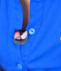 「シャツの隙間でくつろぐぶんさん」（提供：テルさん）