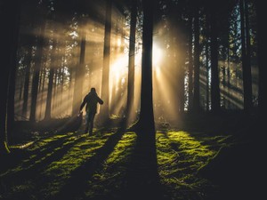 このままでは再起不能になると思った「働き方」から、走って逃げた