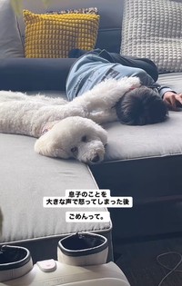 視線はママから離さない…！（提供：＠fuku.fukudogさん）