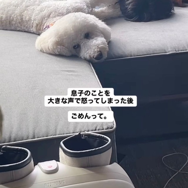 視線はママから離さない…！（提供：＠fuku.fukudogさん）