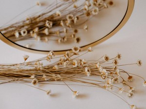 涙を流す美しい自分が手に入れたいと望む、一生手に入らない日々の話