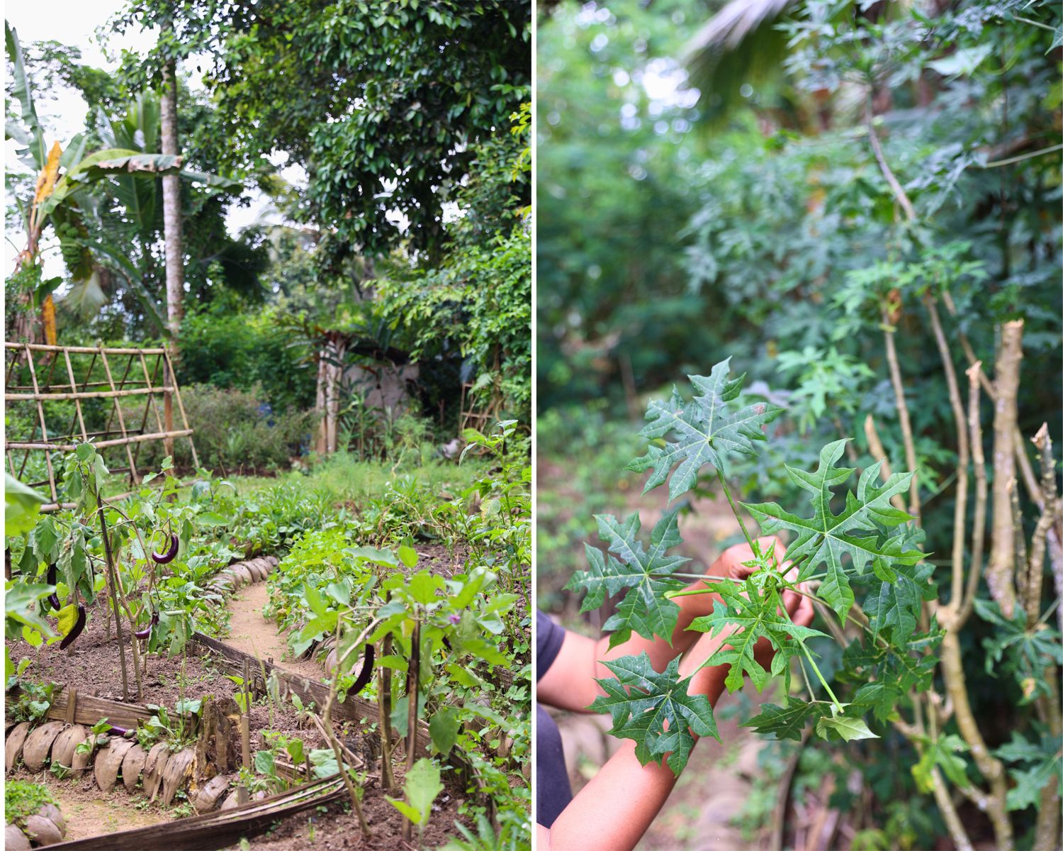 1500_バリ_バンヤンツリー10