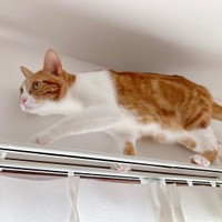 運動神経抜群だよ！