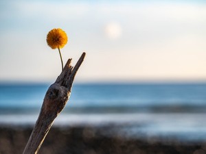 「好きになれる自信がない」と別れたけど、彼を好きになる努力をしていないと気づいた