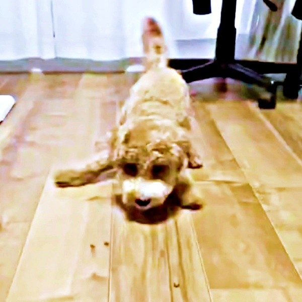 ご飯食べない…苦肉の策にハマったたむくんの姿に反響続出（画像提供：たむさん） ※無断転載禁止