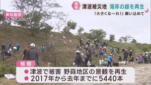 津波で失われた海岸の緑を再生へ　宮城・東松島市で植樹活動