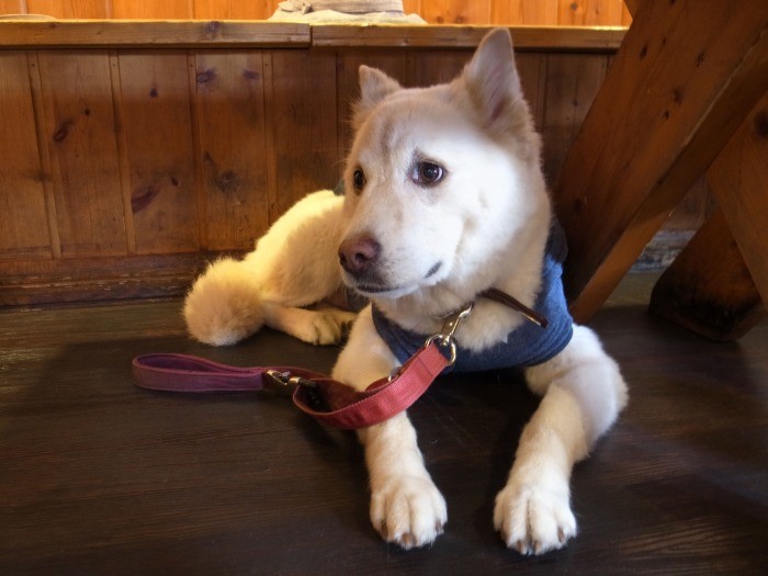 知らない人には緊張してしまう