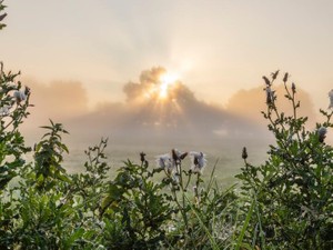高校を中退した「過去」と向き合って見つけた、私の性格と未来の自分
