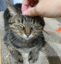 豪雨で落ち着かなかったけど、ママが撫でてくれた