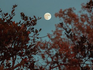 手を繋いで会話をした夜。おばあちゃん、たくさんの愛をありがとう