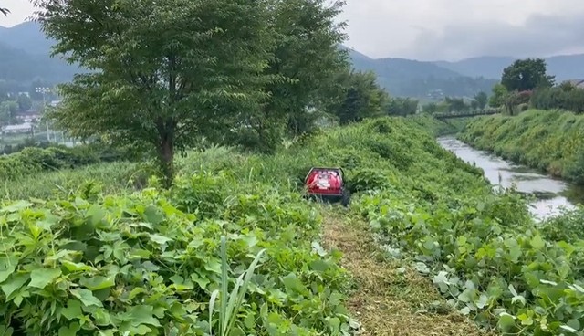 ぐんぐん刈り進んでいきます