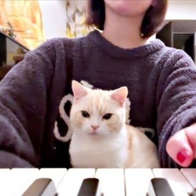 飼い主さんの手の動きを観察するうにくん（画像提供：こぴさん）