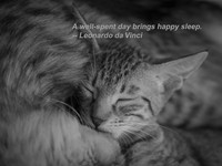 快い眠りを求めたければ、変えるべきは一日の過ごし方だ