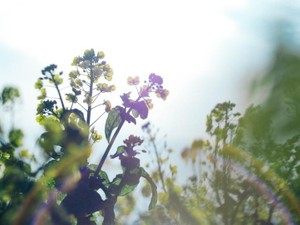 誰かに必要とされたくてずっと「いい子」でいた私。悪い子になったら周りに笑顔が溢れた