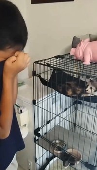 涙をぬぐう男の子を見つめるおはぎ。ずっとの家族になりました（Megumiさん提供）