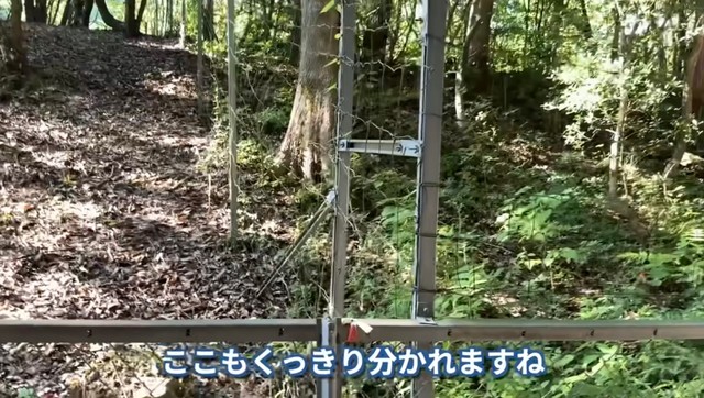 左はシカの被害あり。右はシカが入ってこられない高さの柵が張られており、草が茂っている／茸本朗さん（@hunter.takemoto）提供