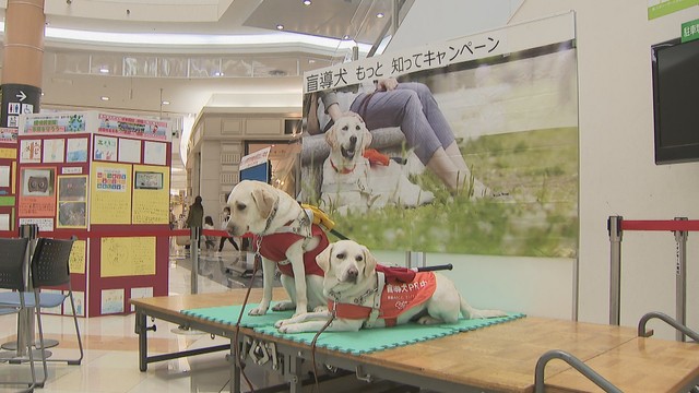 盲導犬の「アクア」と「ナル」が“お仕事”披露　香川