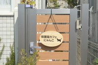 ようこそ『保護猫カフェ にゃんこ』へ