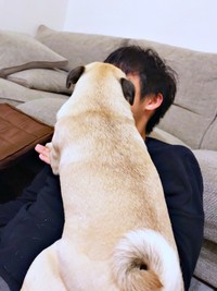 パパに熱烈キスをするモナカちゃん（画像提供：KaKoAさん）