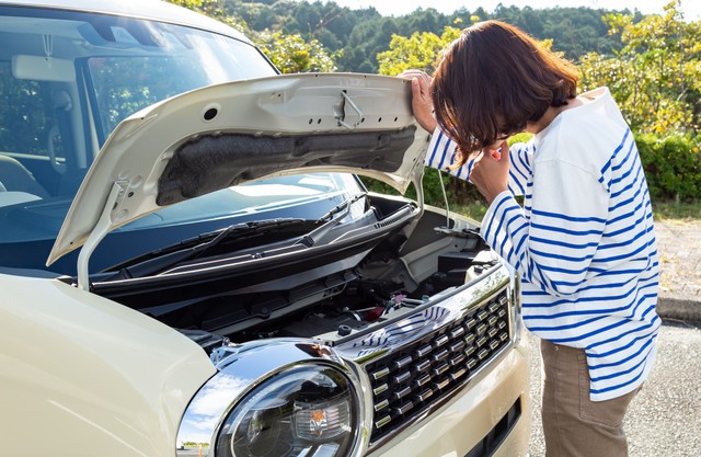 ボンネットなどを優しく叩いて「猫チェック」をしよう！※画像はイメージです（TAGSTOCK2/stock.adobe.com）