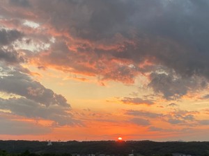 名字への思いはグラデーション。旧姓も新姓も、どちらも紛れもない私