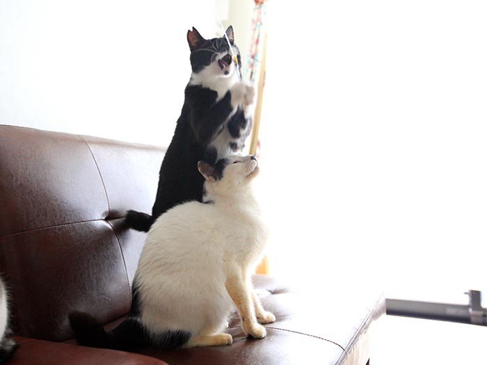 一番よく遊び、