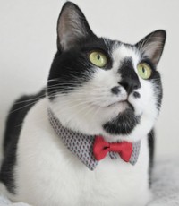 どこから見ても「丸い」まるちゃん