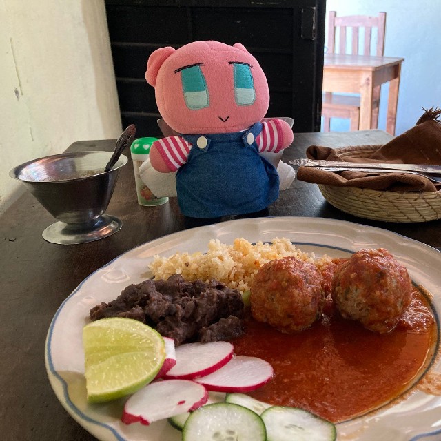 こちらが絶品の肉団子！（英治あかりさん提供）