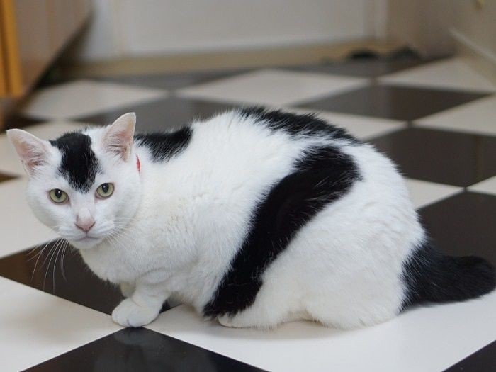 俺の話を聞いてくれ