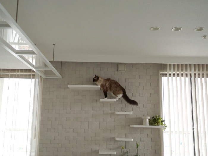 ステップを渡って、キャットウォークへ