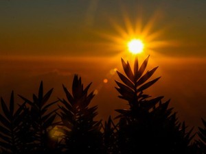 その夜は今までのけんかを挽回するほど笑いあい、永遠だと思っていた