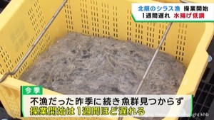 北限のシラス漁が始まる　水揚げは前年同様低調なスタート　宮城・名取市の閖上漁港