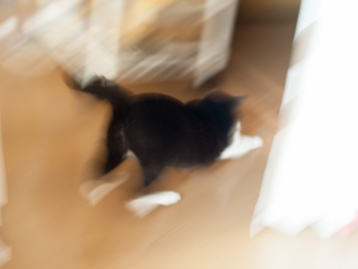 「運動不足は腎臓にもよくないのかな」（小林写函撮影）