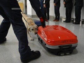 麻薬探知犬アイ号、捜査活動を公開　すぐに麻薬のありかかぎ分け