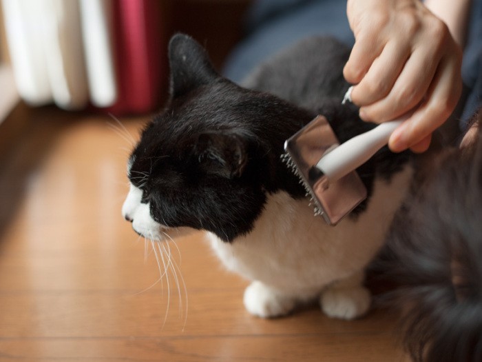 「寝転がると顔が近いよ、おばちゃん」（小林写函撮影）