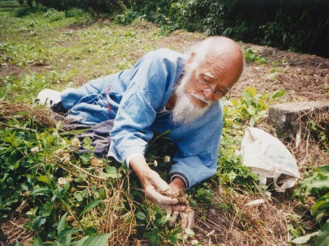 福岡自然農法は問い続ける緑の思想 世界20数カ国で翻訳された