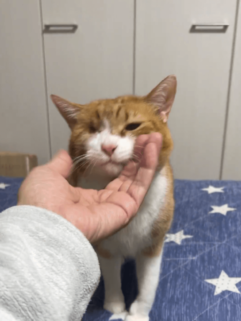 仕事終わりの至福のひととき