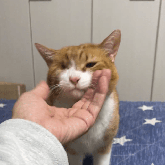 仕事終わりの至福のひととき