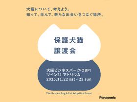 11/22、23 大阪で開催　パナソニック保護犬猫譲渡会2025に参加予定の犬や猫たち