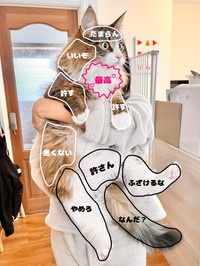 ススキ猫さんの部位