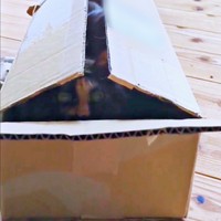 再び、箱の中に身を隠して様子をうかがうみたらしちゃん（画像提供：少年さん）