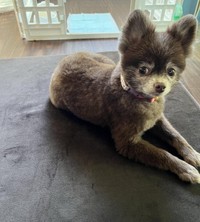 一緒に暮らす中で徐々に表情が変化していった