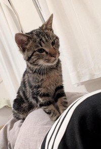 保護から数日後の様子
