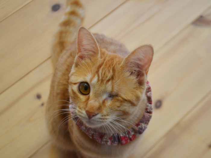 人が大好きなみちる