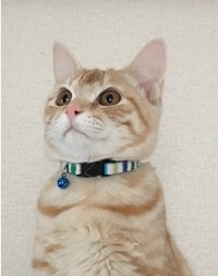 出会った当初は、生後6ヶ月だった