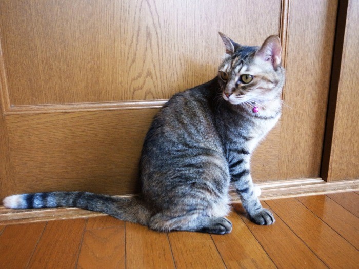 あ～、早く終わってくれないかな